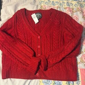 American Eagle cardigan. NWT. Very pretty red. Great for holidays.